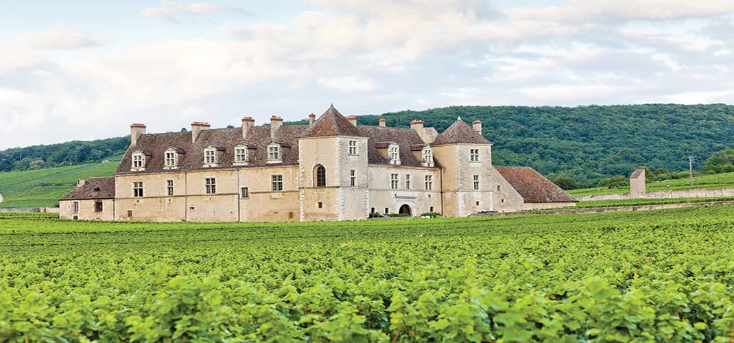 Clos de Vougeot, Burgundy