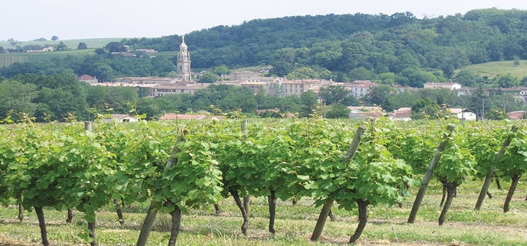 Entre Deux Mer Vineyards, Bordeaux, France
