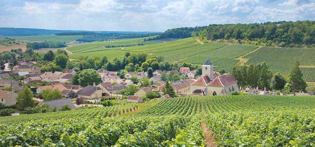 Côte des Bar, Champagne