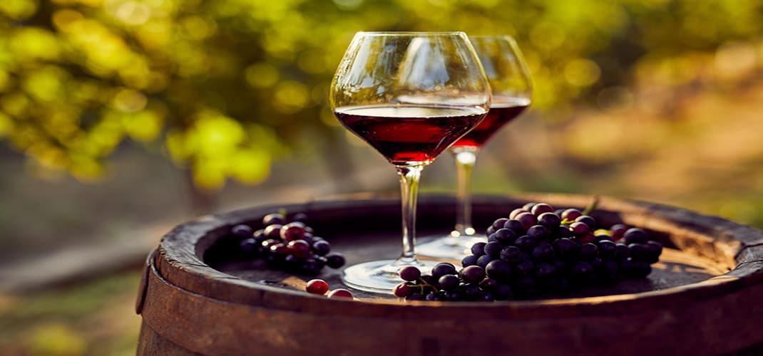 Wine Cruising & Tasting in Croatia